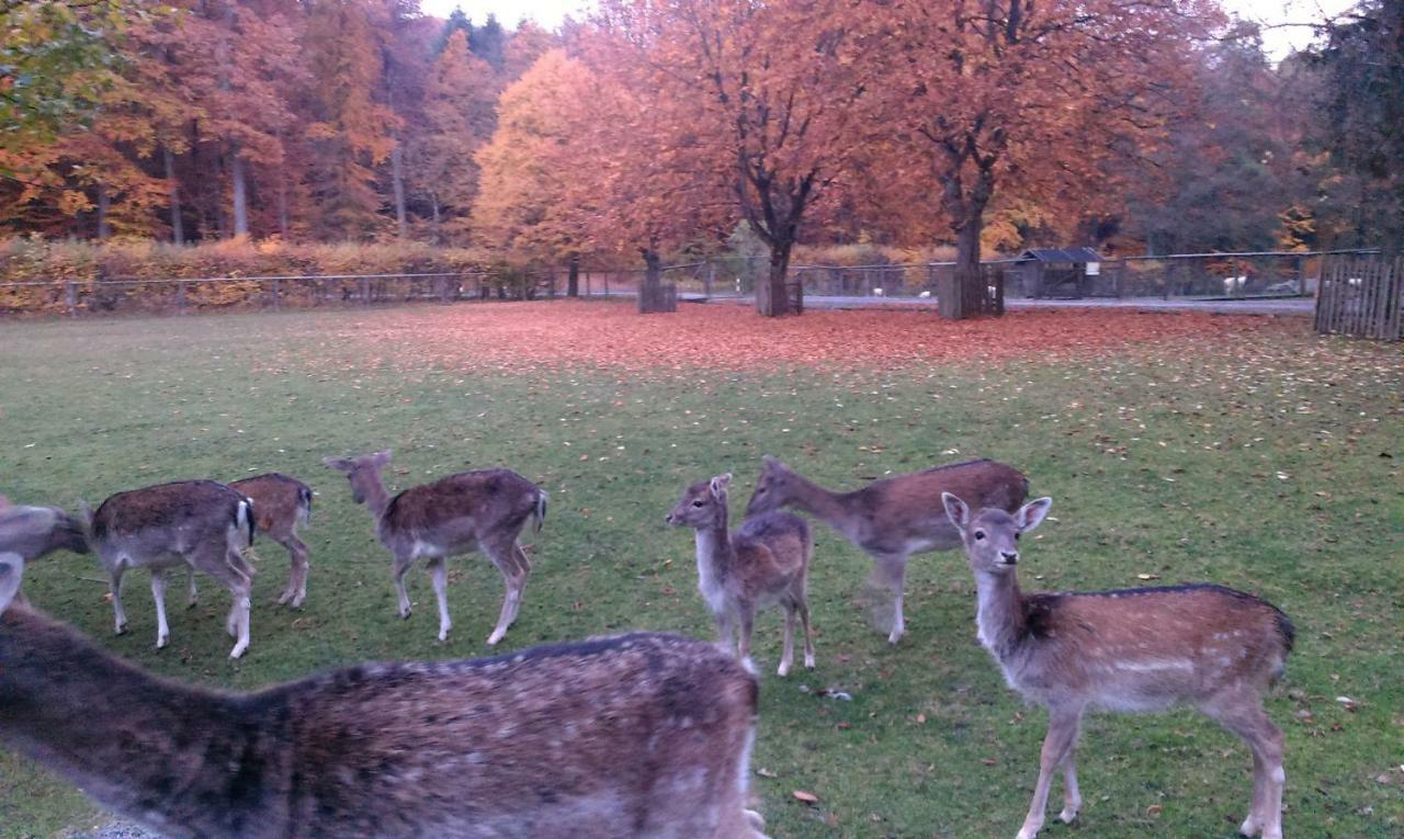 Ferienwohnung Grosso Grafendorf  Bagian luar foto