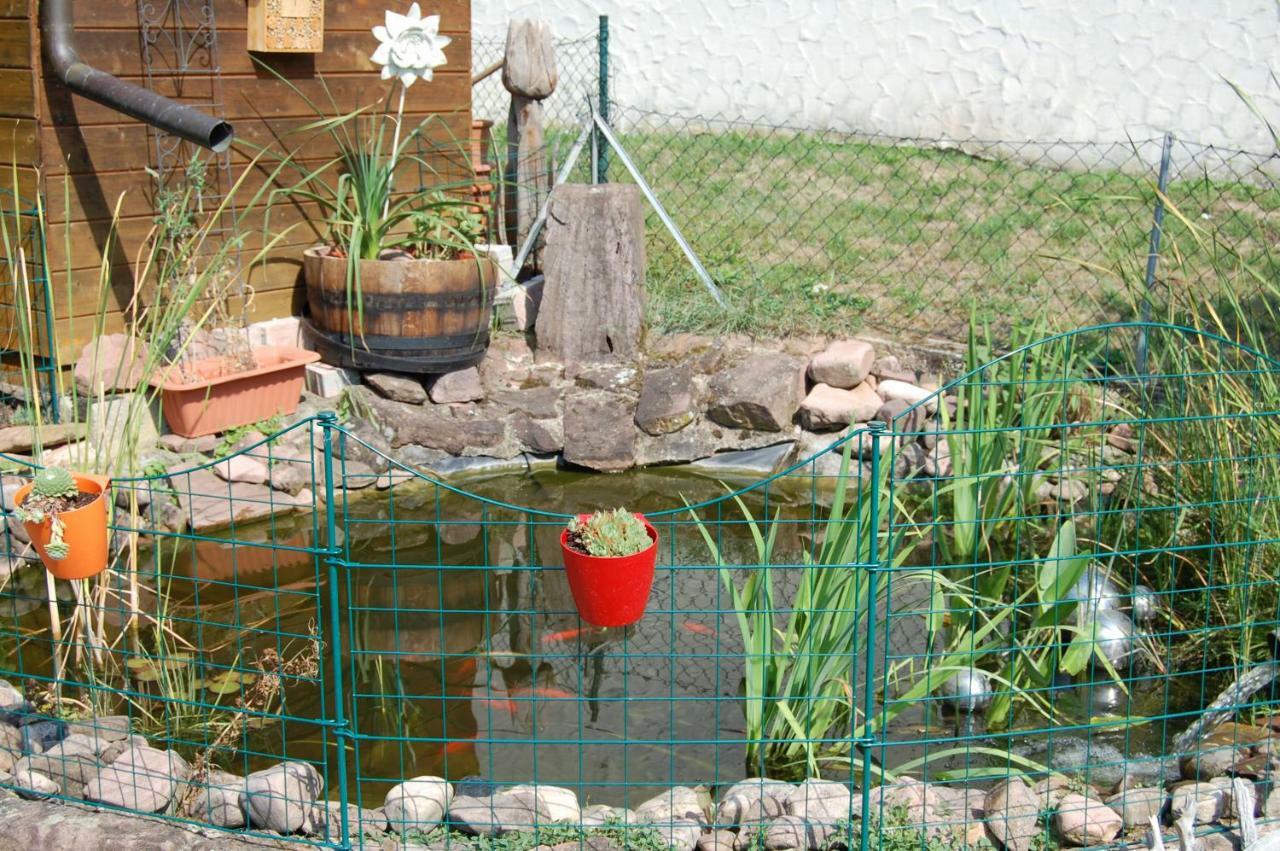 Ferienwohnung Grosso Grafendorf  Bagian luar foto
